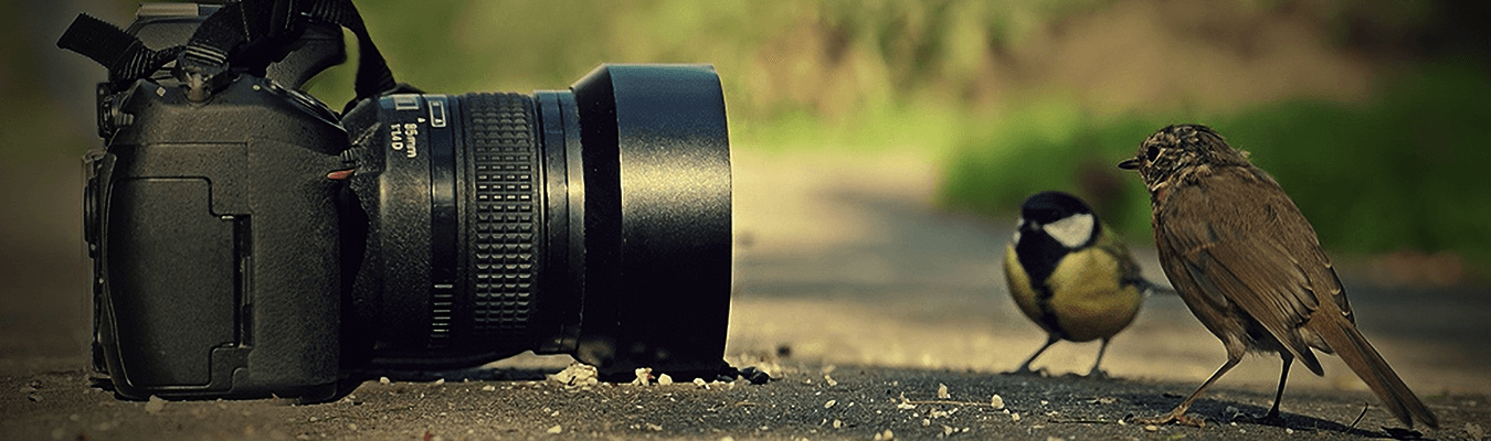 دوربین دیجیتال کانن Powershot SX710 HS
